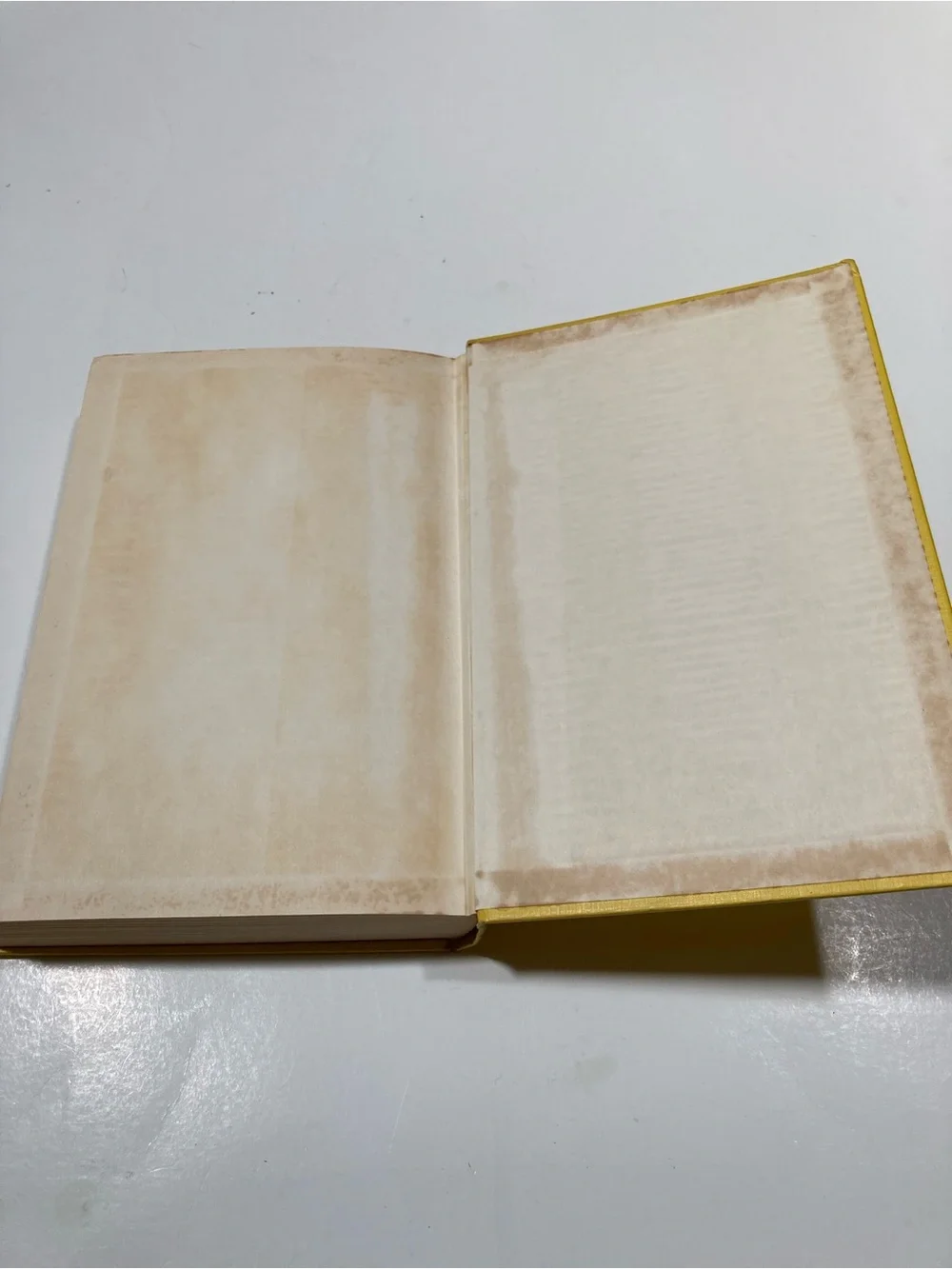 The Bible Cookbook by Marian Maeve O'Brien Bethany Press 1958 Yellow Hardcover